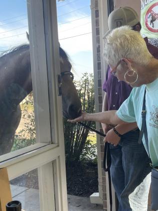 IFYR volunteer Linda Brown feeds an apple to a horse, while the issue of its damaged stall is resolved earlier this month. Photo provided by Ranay Churchwell.