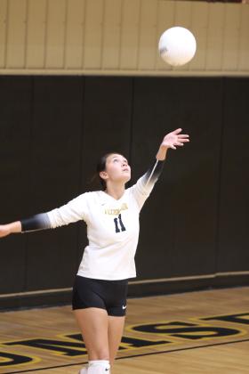 Tecumseh Lady Savage Volleyball