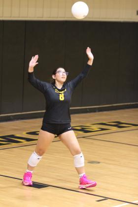 Tecumseh Lady Savage Volleyball
