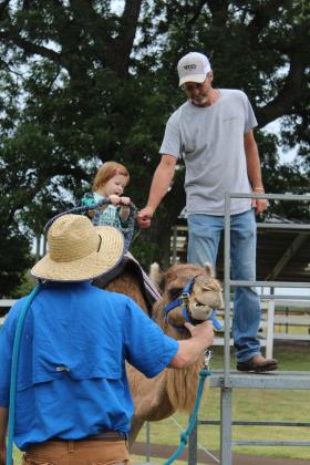 Alyvia Gallaway, 2, of Shawnee, completes her ride on Sally the Camel, with the help of Jesse, left, and Joe Malchow, with Camels Unlimited in Adair, during the FireLake Fireflight Balloon Festival on Aug. 10. Camel rides were a new addition to the Kids Zone this year. Countywide &amp; Sun/Natasha Dunagan