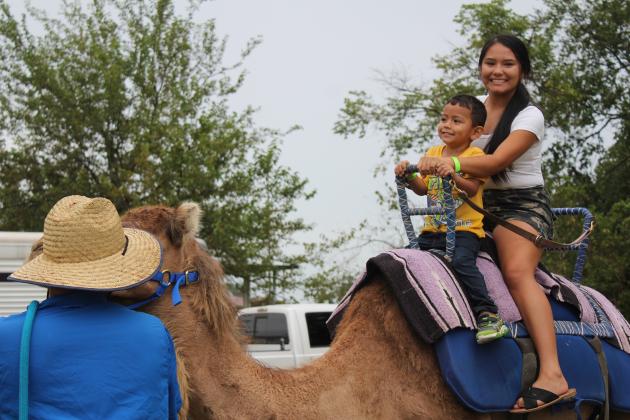 Tiago Herrera, 3, and Jasmine Herrera, 16, both of OKC, ride on Sally the Camel, led by Jesse Malchow, of Camels Unlimited in Adair, during the FireLake Fireflight Balloon Festival on Aug. 10. Camel rides were a new addition to the Kids Zone this year. Countywide &amp; Sun/Natasha Dunagan