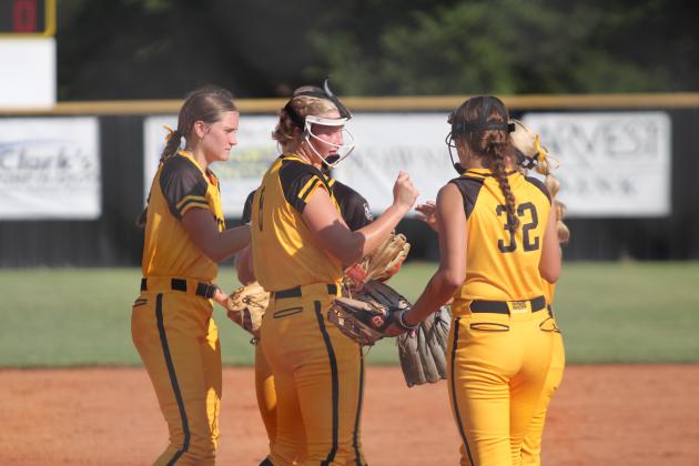 Tecumseh Lady Savages Fast Pitch