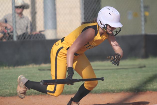 Tecumseh Lady Savages Fast Pitch