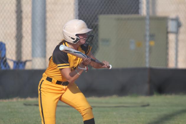 Tecumseh Lady Savages Fast Pitch