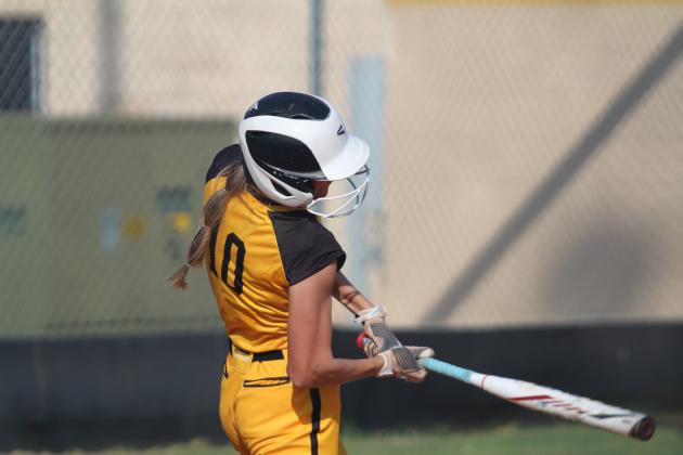 Tecumseh Lady Savages Fast Pitch