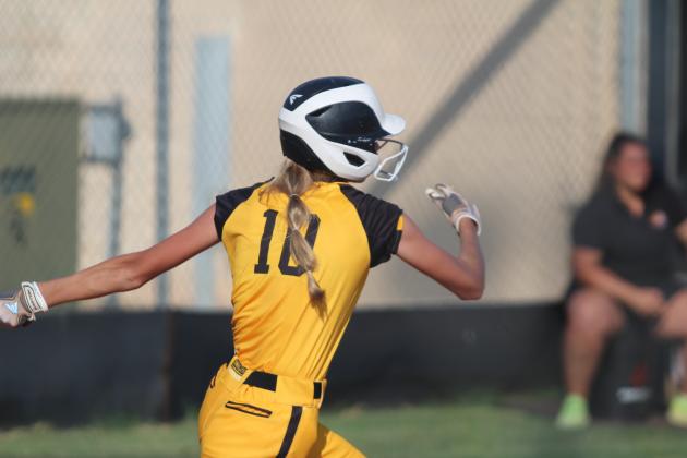 Tecumseh Lady Savages Fast Pitch