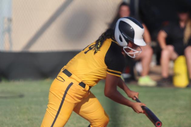 Tecumseh Lady Savages Fast Pitch