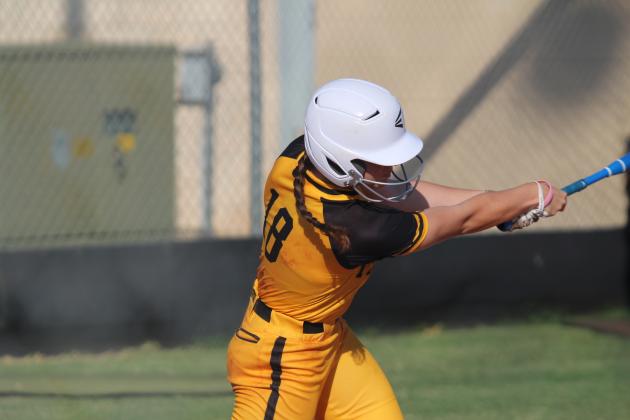 Tecumseh Lady Savages Fast Pitch