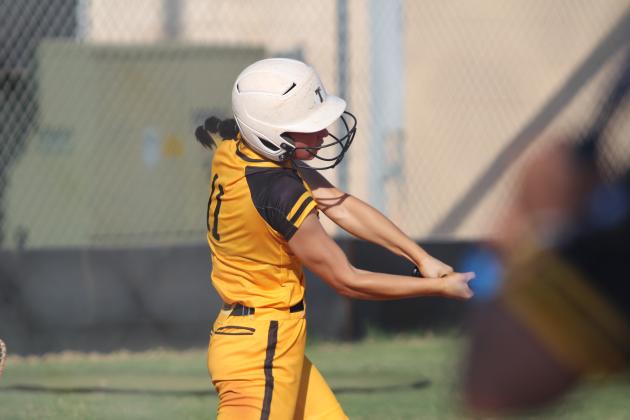 Tecumseh Lady Savages Fast Pitch