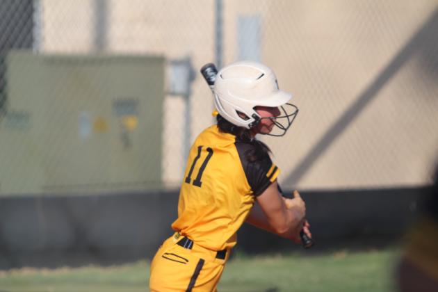 Tecumseh Lady Savages Fast Pitch