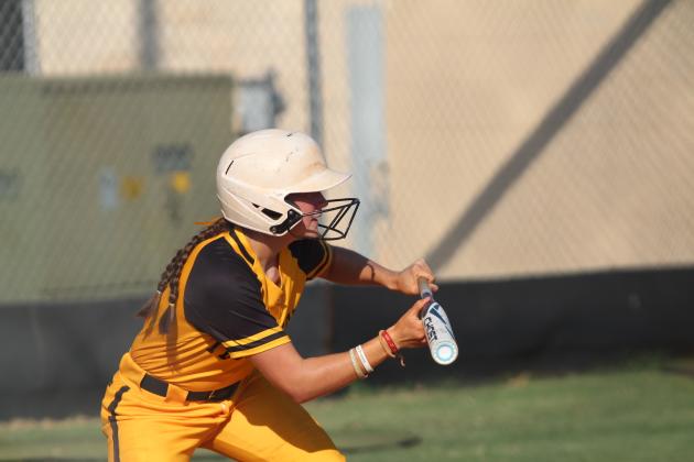 Tecumseh Lady Savages Fast Pitch