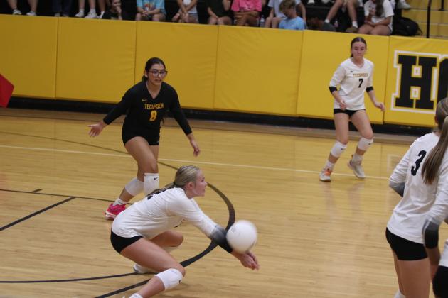 Tecumseh Lady Savage Volleyball