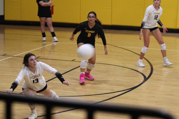 Tecumseh Lady Savage Volleyball