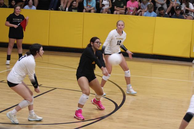 Tecumseh Lady Savage Volleyball