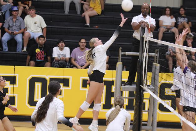 Tecumseh Lady Savage Volleyball