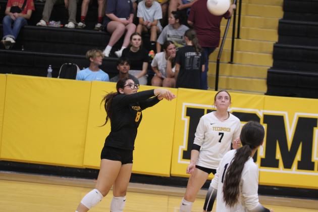 Tecumseh Lady Savage Volleyball