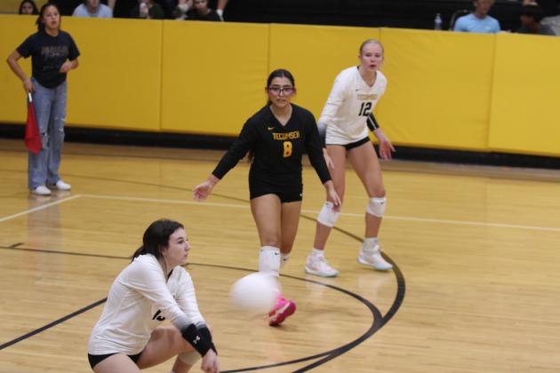 Tecumseh Lady Savage Volleyball