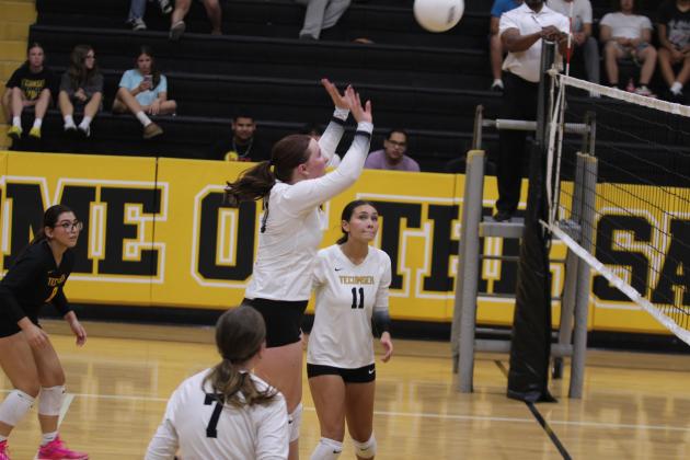 Tecumseh Lady Savage Volleyball
