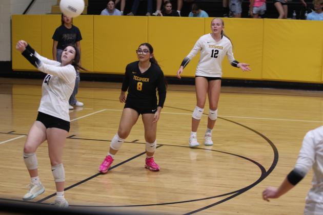 Tecumseh Lady Savage Volleyball