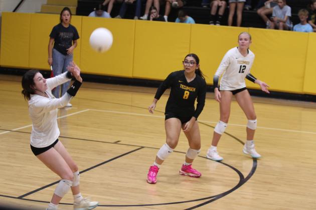 Tecumseh Lady Savage Volleyball