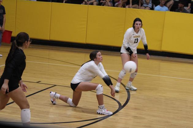 Tecumseh Lady Savage Volleyball