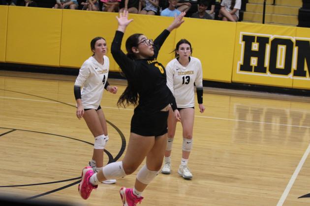 Tecumseh Lady Savage Volleyball