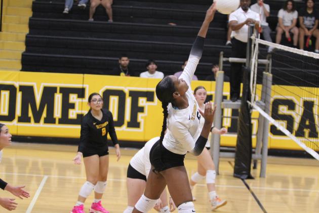 Tecumseh Lady Savage Volleyball