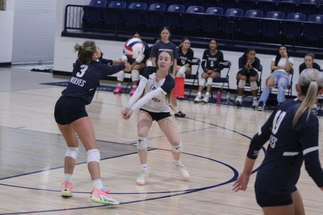 Shawnee Lady Wolves Volleyball