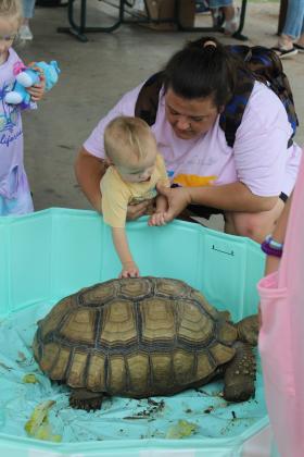Ashley Glasgow holds Cade Glasgow, 1, both of Tecumseh, as he feels the shell of Phoenix the Sulcata Desert Tortoise on July 25. Montana Goad and Melodie Waddell, both of Earlsboro, brought Phoenix, and two younger tortoises - DaVinci and Little Bit - to the Tecumseh Pioneer Library "Party at the Park" in Slick Humphrey Park.