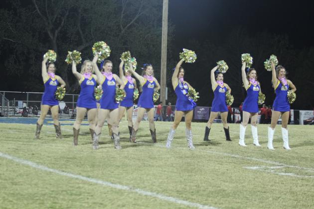 With a western theme for the district home game, the Bethel High School Pom Squad dances to "Country Girl (Shake it for Me)" by Luke Bryan at halftime, Oct. 25. Countywide &amp; Sun/Natasha Dunagan
