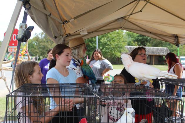 Rachel Walker, 9, Allison Walker, 12, and Maritza Deanda, 10, play catch with "Peaches" the Moluccan Cockatoo at the Frontier Days Kids Zone on Sept. 28. Ron and Susan Ham, of Shawnee, brought five of their 30 tropical birds, as well as a few Sulcata tortoises and a Bearded Dragon. Countywide &amp; Sun/Natasha Dunagan