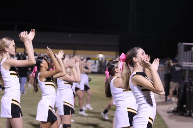 THS Cheerleaders