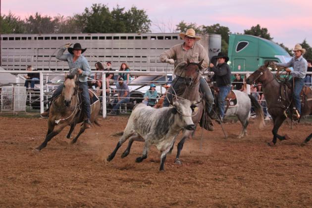 The EA Cattle Company ropes their steer in the "Doctoring" division of the Tecumseh Round-Up Club Rodeo on Sept. 28 after the Frontier Days festival. Five other ranches or cattle companies also competed in roping events at the rodeo. Countywide &amp; Sun/Natasha Dunagan