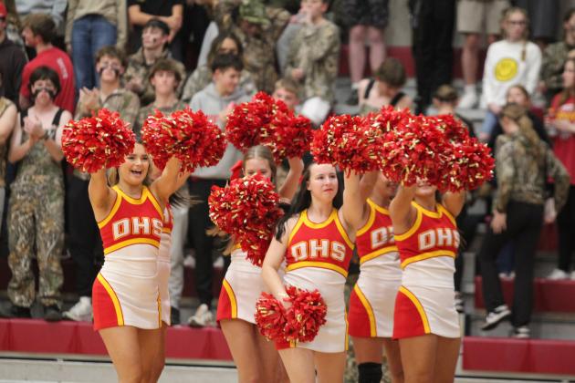 Dale High School Cheerleaders rally the crowd and student section during the girls basketball game on Dec. 3. The theme was camouflage that night. Countywide &amp; Sun/Natasha Dunagan