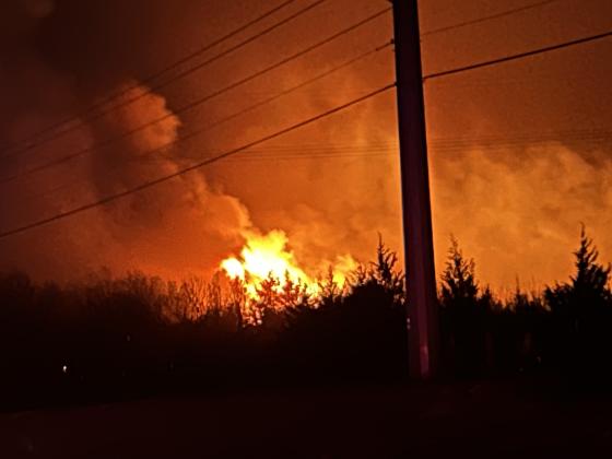 After working hard to douse the fires, a Red Cedar bursts into flames reaching far above the surrounding trees. Suzie Campbell, Countywide &amp; Sun