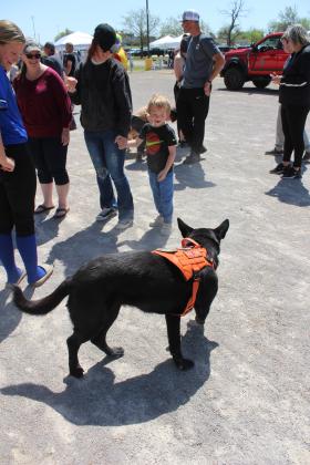 Siri, the Black Sabled German Shepherd search and rescue dog, plays fetch with Parker Jones, 5, of Chickasha, using a rock at the Touch A Truck and Beyond event on April 12. Oklahoma City Metro Search and Rescue brought their six-year-old highly trained dogs, Siri and Mila, as well as a plastic skeleton to teach about bones. Jones is shown with his mother, Kiersten, and sister, Payton, 12, far left.
