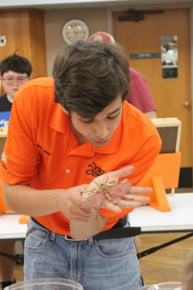 Neil Aker, an entomologist with the OSU Insect Adventure, blows on a Jungle Nymph Walkingstick to make it flutter its wings during Bugfest at Shawnee Public Library on May 31. This walkingstick can't fly but uses its wings for break a fall, like a parachute. Natasha Dunagan, Countywide &amp; Sun