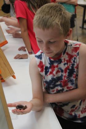 Mason Wackerly, 8, of Noble, holds a Desert Millipede during Bugfest at Shawnee Public Library on May 31. Entomologist Neil Aker was in charge of the OSU Insect Adventure where kids and adults could pet or hold insects and arachnids of all kinds. Natasha Dunagan, Countywide &amp; Sun