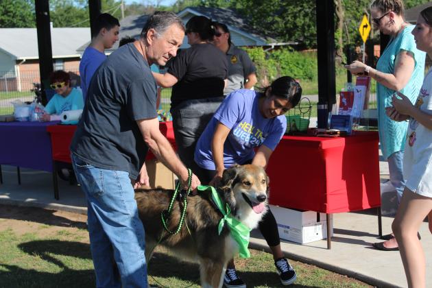 Suhaila Nease, with Pottawatomie Go (POGO) puts a bandana on Pauly the Anatolian Shepherd, as Evan Klein, of Shawnee, looks on during Pups &amp; Pals at Fun Day at Kidspace Park on May 30. Fun Day was part of Health Week, which is sponsored by the Avedis Foundation.
