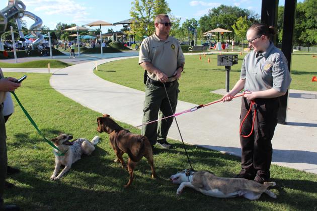 During Pups &amp; Pals for Fun Day at Kidspace Park, three dogs from the Shawnee Animal Shelter lounge in the shade, as Animal Welfare Officer Jesse Gallaway and Pottawatomie County Law Enforcement Explorer Victoria Crook watch over them on May 30. One dog was adopted during the event. They currently have 19 dogs and two cats at the animal shelter.