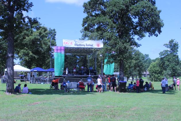Watching the McKedys under a shade tree.