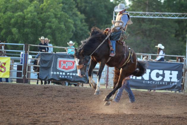 IFYR 2025