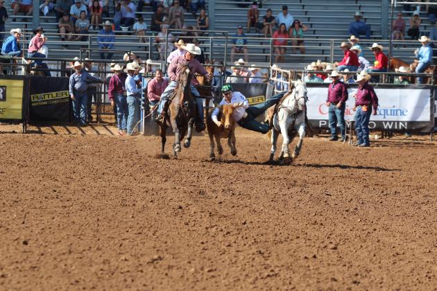 IFYR 2025