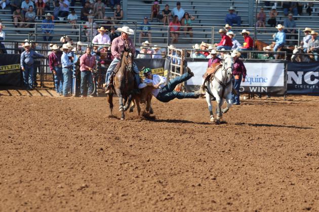 IFYR 2025