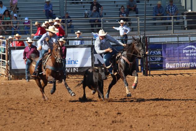 IFYR 2025