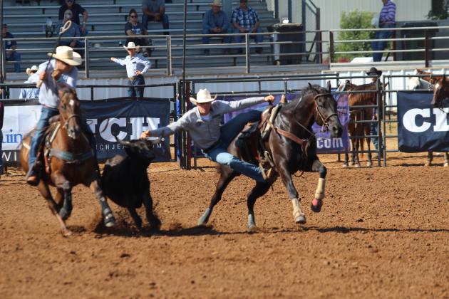 IFYR 2025