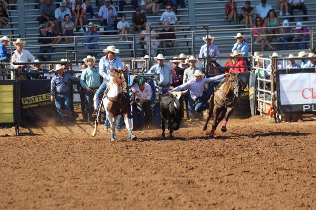 IFYR 2025