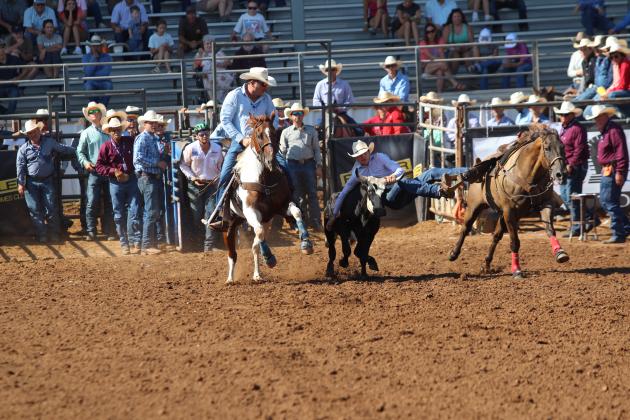 IFYR 2025