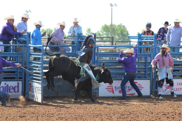 IFYR 2025