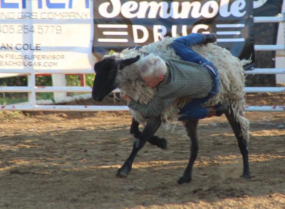 Zander Atchely of Fisher hangs onto the side of a sheep in the Mutton Bustin' event of the 79th Annual Maud Roundup Rodeo, held at the Maud Rodeo Arena on July 18th and 19th. Kids could also participate in the Calf Scramble and money in the dirt on both days.